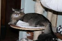 galleries/cats/166/10.jpg