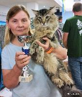 galleries/cats/166/13.jpg