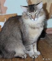 galleries/cats/166/14.jpg