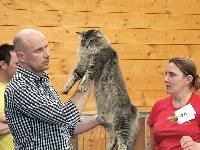 galleries/cats/166/17.jpg