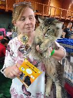 galleries/cats/166/19.jpg